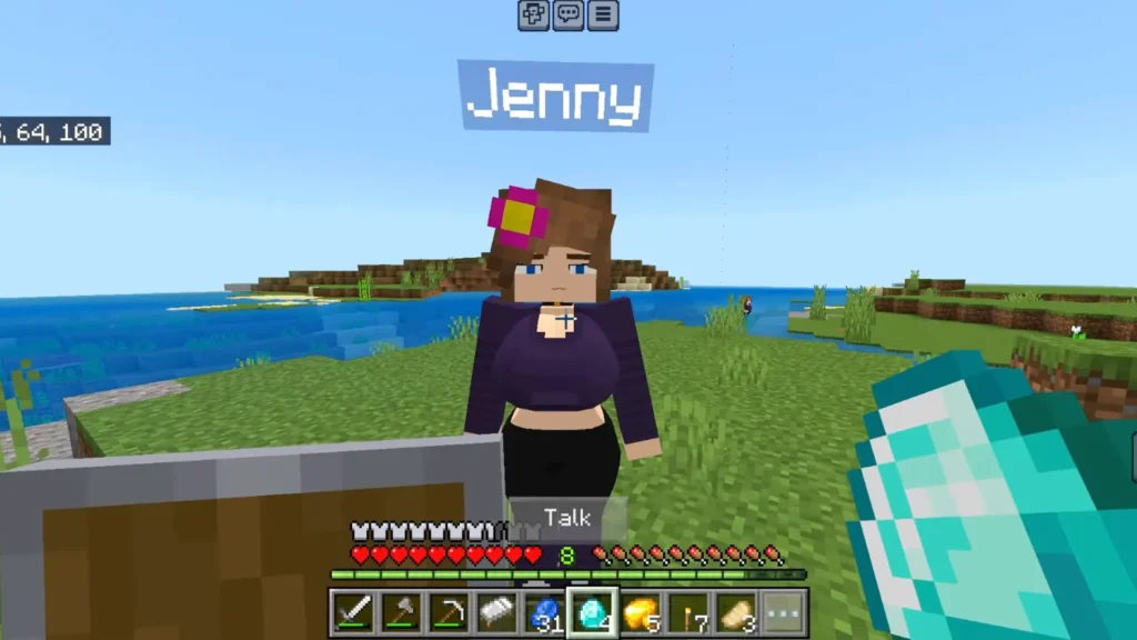 minecraft jenny